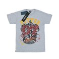 thumbnail image 1 of Harry Potter Girls Gryffindor Seeker Cotton T-Shirt, 1 of 5