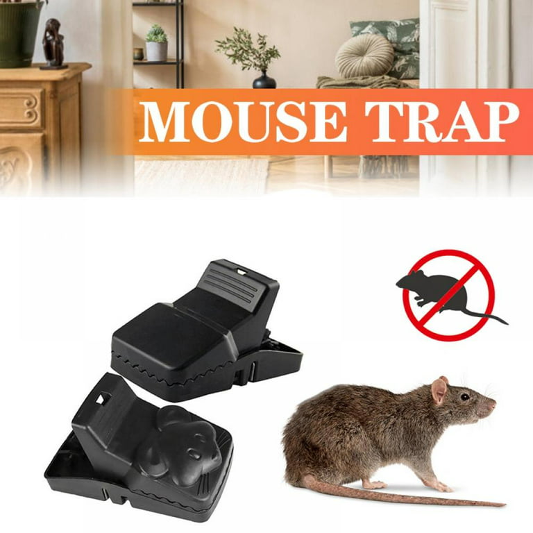 4 Pack Rat Trap, Large Mouse Traps, Mouse Traps Indoor for Home, Instant  Kill Pest Control Traps for Mouse Rat Chipmunk, Quick Set Up and Reusable 