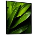 thumbnail image 2 of Designart "Stately Palm Silhouettes" Palms & Palm Trees Floater Framed Wall Art Prints, 2 of 5
