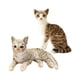 thumbnail image 1 of Peluche de gato siamés de imitación, relleno para regalo de cumpleaños, estilo E+ realista. EstiloN, 1 of 9