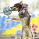 thumbnail image 4 of Flying Saucer Dog Game Discs Toys Cat Chew Leaking Slow Food Feeder Ball Puppy Iq Training Toy, 4 of 4