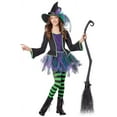 thumbnail image 2 of California Costumes Witch's Broom Halloween Costume Accessory, 2 of 5
