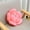 Pink, variant on Sofa Cushion Decorative Throw Pillow For Living Room, Mother’s Day Cushion Gift Rose Cushion For Bedroom Sofa Chair Decoration Comfort Support And HOLIDAY andHOME Accents