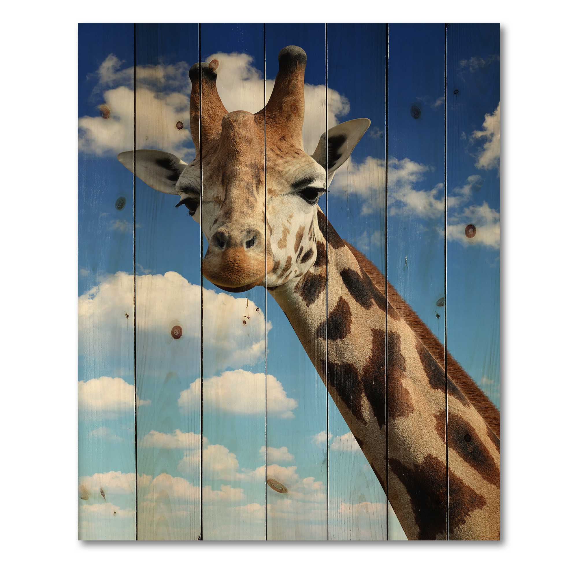 Designart 'A Giraffe On A Blue Sky Portrait' Farmhouse Print on Natural Pine Wood