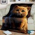 thumbnail image 3 of Mignon Calico Chat Garfield Chat Persan Ragdoll Bande Dessinée Couverture Doux Jeter pour la Maison Chambre Lit Canapé Couverture Enfants, 3 of 7
