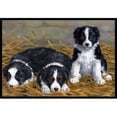 thumbnail image 1 of Carolines Treasures ASA2196JMAT Border Collie Puppies Indoor or Outdoor Mat- 24 x 36, 1 of 4
