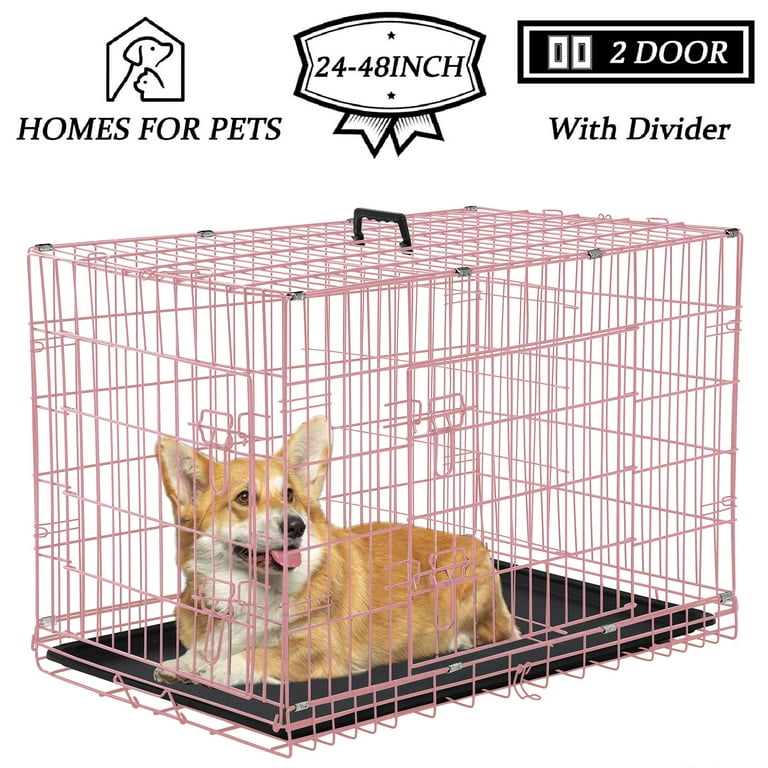 24 dog kennel discount
