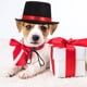 thumbnail image 3 of KAKOWELY Sombrero de disfraz para perro, divertido sombrero para mascota, sombrero para gatito, sombrero decorativo para mascota, sombrero de fiesta para cosplay de mascota, 3 of 4