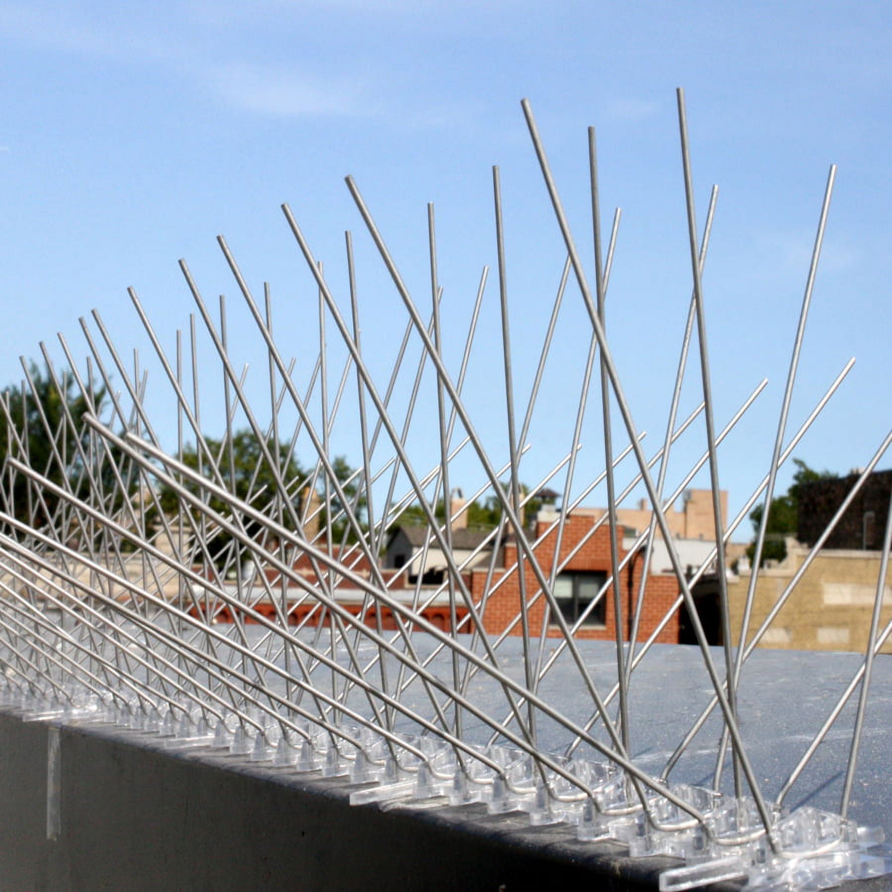 Bird-X Extra Wide Stainless Bird Spikes 10 Feet Coverage 8 Inches Wide Pigeons Starlings Sparrows Seagulls Bird Repellent Control
