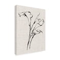thumbnail image 2 of Trademark Fine Art 'Floral Ink Study IV' Canvas Art by Ethan Harper, 2 of 4