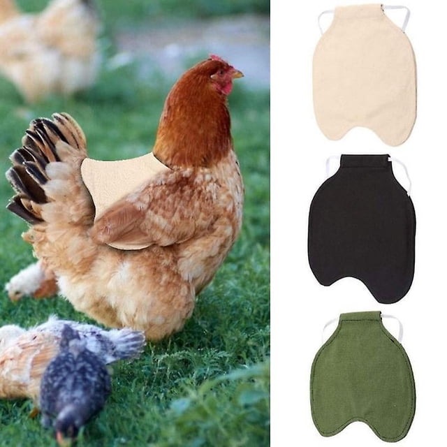 4 Chalecos protectores para alitas de pollo ZHCH delantales para pollos color beige tamaño pequeño 20 a 19,5 cm