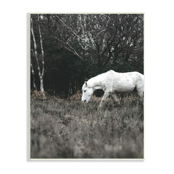 Stupell Industries Rural Monochrome Meadow Trees White Horse Grazing Wood Wall Art, 13 x 19, Design by Amy Brinkman