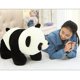 thumbnail image 5 of Niños Panda Doll Peluches Animales Muñecas de tela Regalo para niñas Niños (30 cm Sywqhk libre de BPA, 5 of 9