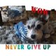 thumbnail image 4 of Chaqueta vaquera vintage moderna, mono de mezclilla azul para perro pequeño (L), 4 of 5