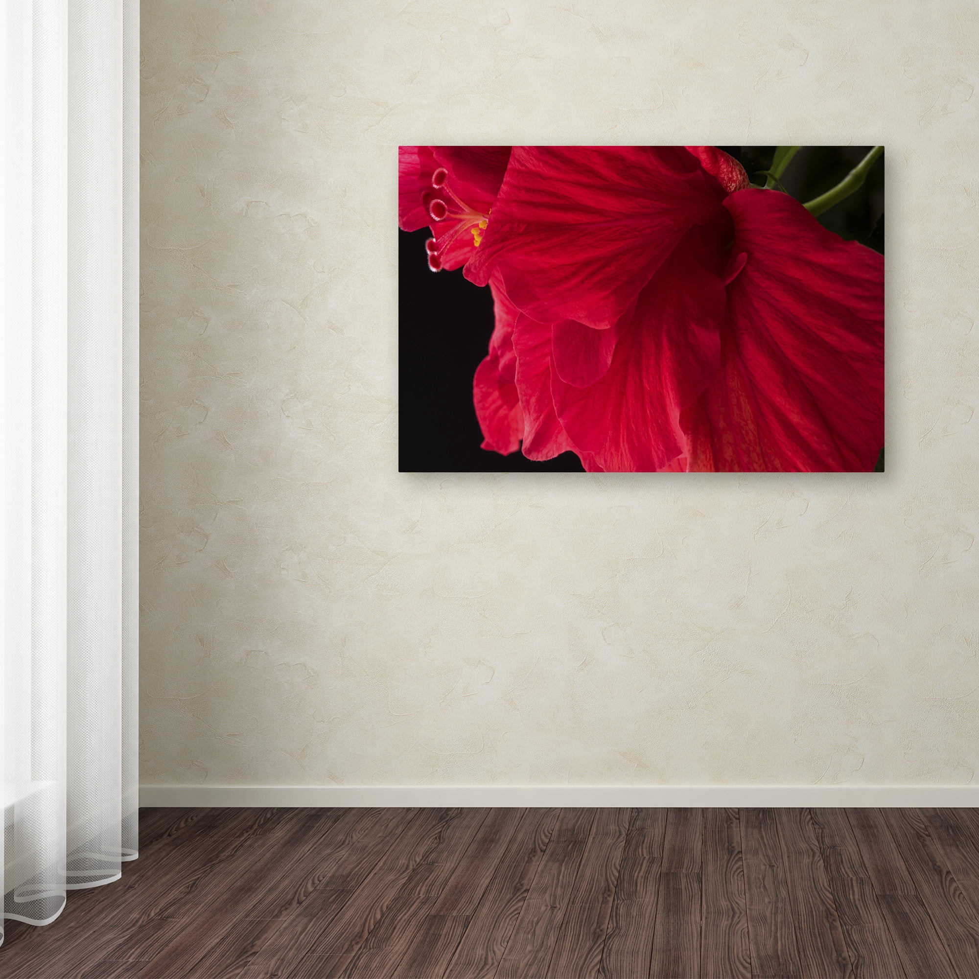 Trademark Fine Art "Red Double Hibiscus" Canvas Art by Kurt Shaffer