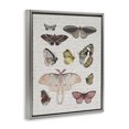 thumbnail image 3 of Stupell Industries Cottage Moths & Butterflies Vintage Gray Floating Frame Canvas Art, 17 x 21, by Lil' Rue, 3 of 8