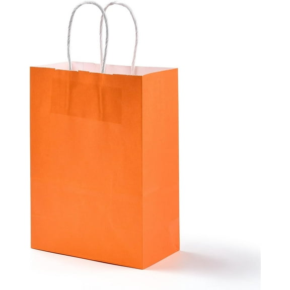 10 Pcs Pure Color Kraft Paper Bags Gift Bags Small Shopping Bag with Paper Twine Handles for Wedding Birthday Party Supplies(Dark Orange)