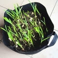 thumbnail image 4 of Bolsa de cultivo de 5 galones de tela no tejida con asas, maceta gruesa para plantas, verduras, fresas y hierbas., 4 of 8
