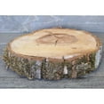 thumbnail image 2 of 1 Pc, Elm Wood Slices 14-16" Diameter - Large for Holiday, Home and Seasonal Décor, 2 of 2