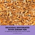thumbnail image 3 of Zilla Reptile Munchies River Shrimp 2 oz., 3 of 12