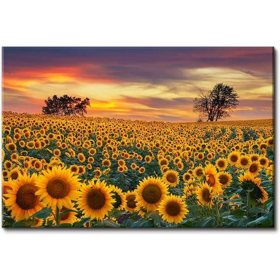 Sunflower Wall Art for Living Room Kitchen Sunset Kansan Sunflower Landscape Canvas Prints Painting National Park Flower Field Scenery Picture Poster 12x16” Nature Scenic Artwork Home Decorations