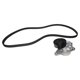 thumbnail image 1 of Kit de Accesorios S80 1999 Volvo L6 2.9L CONTITECH, 1 of 3
