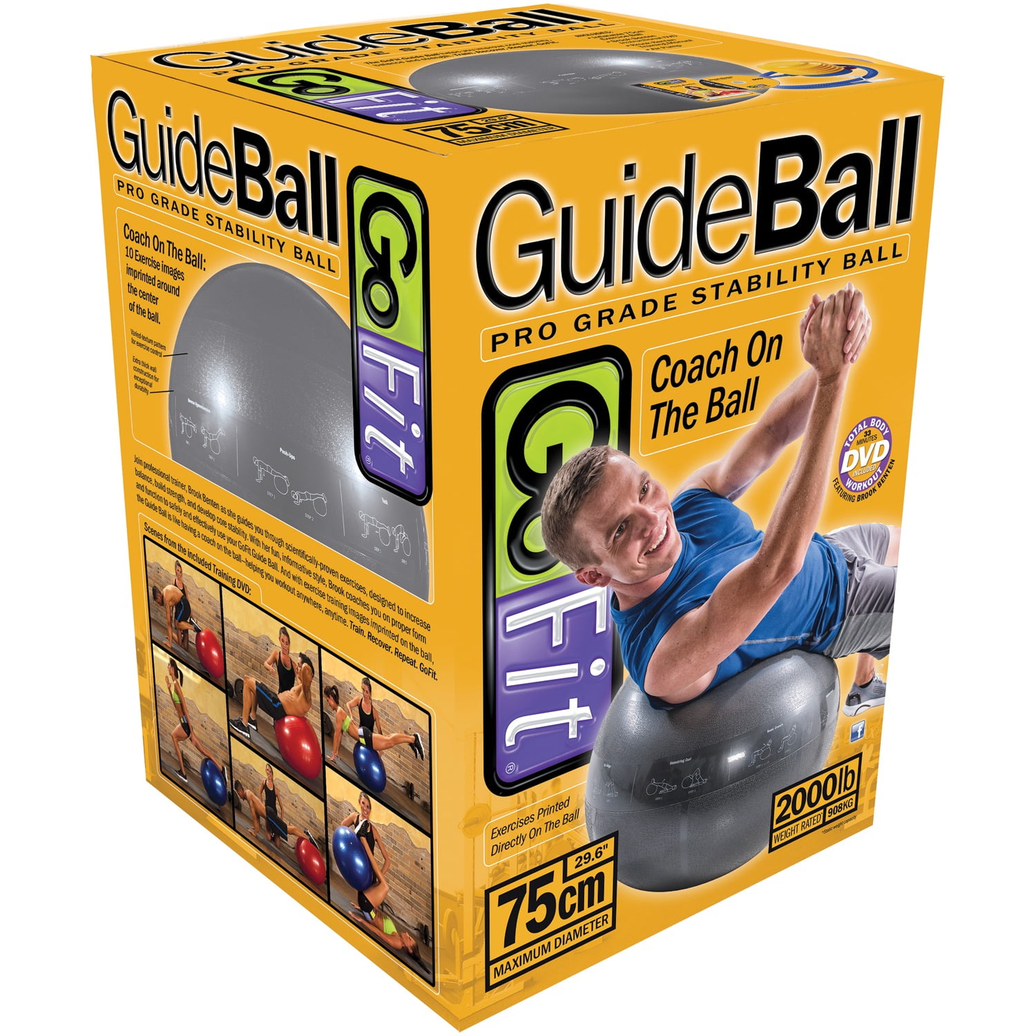 GoFit Pro Grade 75 cm Stability Guide Ball with Pump, Silver, GF-75PRO