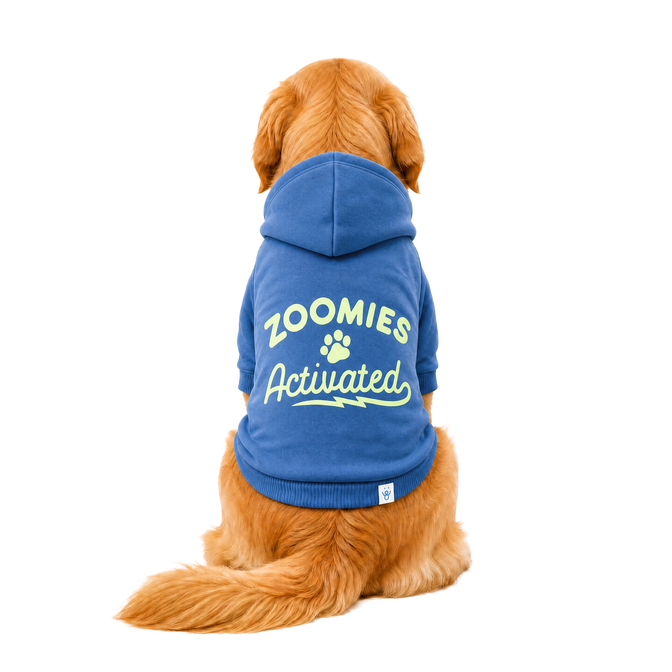 Oodles Zoomie Activated Fall Dog Hoodie, Blue, XL