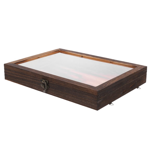 Beaupretty Wooden Insect Display Box Coffee Retro Style Clear Lid Specimen Holder