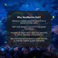 thumbnail image 2 of Brightwell Aquatics NeoMarine - Mezcla de sal marina para ac Brightwell Aquatics Brightwell Aquatics, 2 of 2