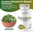 thumbnail image 6 of Organic Anamu Root 450mg, 200 capsules, Petiveria Allicea, Herbal Supplement for Vitality, Energy, Cellular & Immune Support, 6 of 10