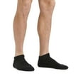 thumbnail image 2 of Darn Tough Men's Light Hiker No Show Lightweight Cushion Sock, 2 of 4