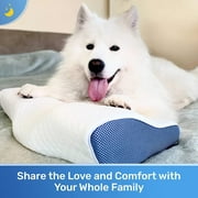 Derila® | Cervical Memory Foam Bed Pillow Standard | Neck, Shoulder Pain Relief | Improves Sleeping
