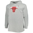 thumbnail image 2 of Men's Fanatics Heather Gray Chicago Bulls Big & Tall Pullover Hoodie, 2 of 3
