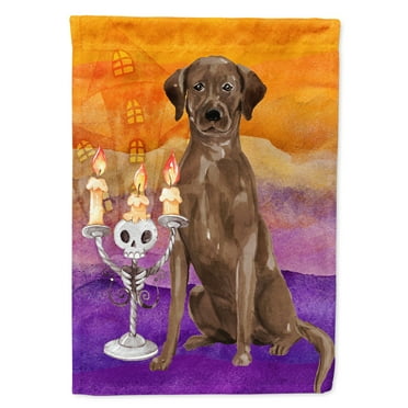 Hallween Chocolate Labrador Retriever Flag Canvas House Size