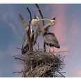thumbnail image 3 of Wang, Kevin 13x12 Black Modern Framed Museum Art Print Titled - Happy Family Trio, 3 of 5