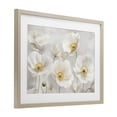 thumbnail image 3 of Stupell Industries Elegant White Floral Birch Framed Print Under Glass design by Petal Prints Design, 14 x 20, 3 of 10