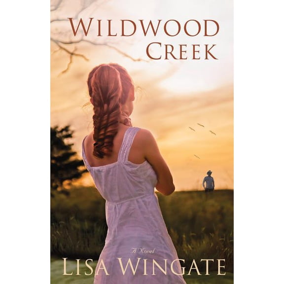 Wildwood Creek, (Paperback)