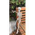 thumbnail image 3 of POSEABLE FULL LIFE HUMAN SKELETON HALLOWEEN HAUNTED HOUSE PARTY PROP-40CM C, 3 of 9