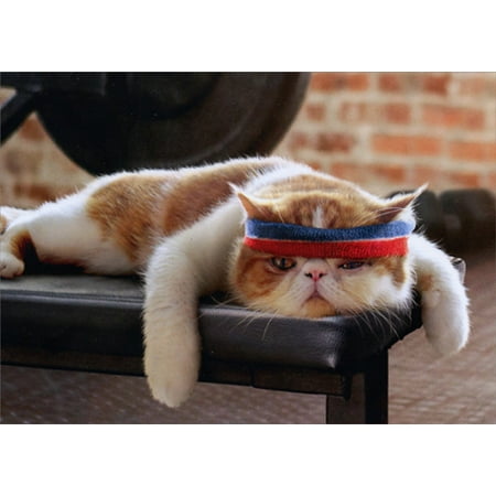 Avanti Press Cat On Workout Bench: Pop Up Stand Out Funny Birthday