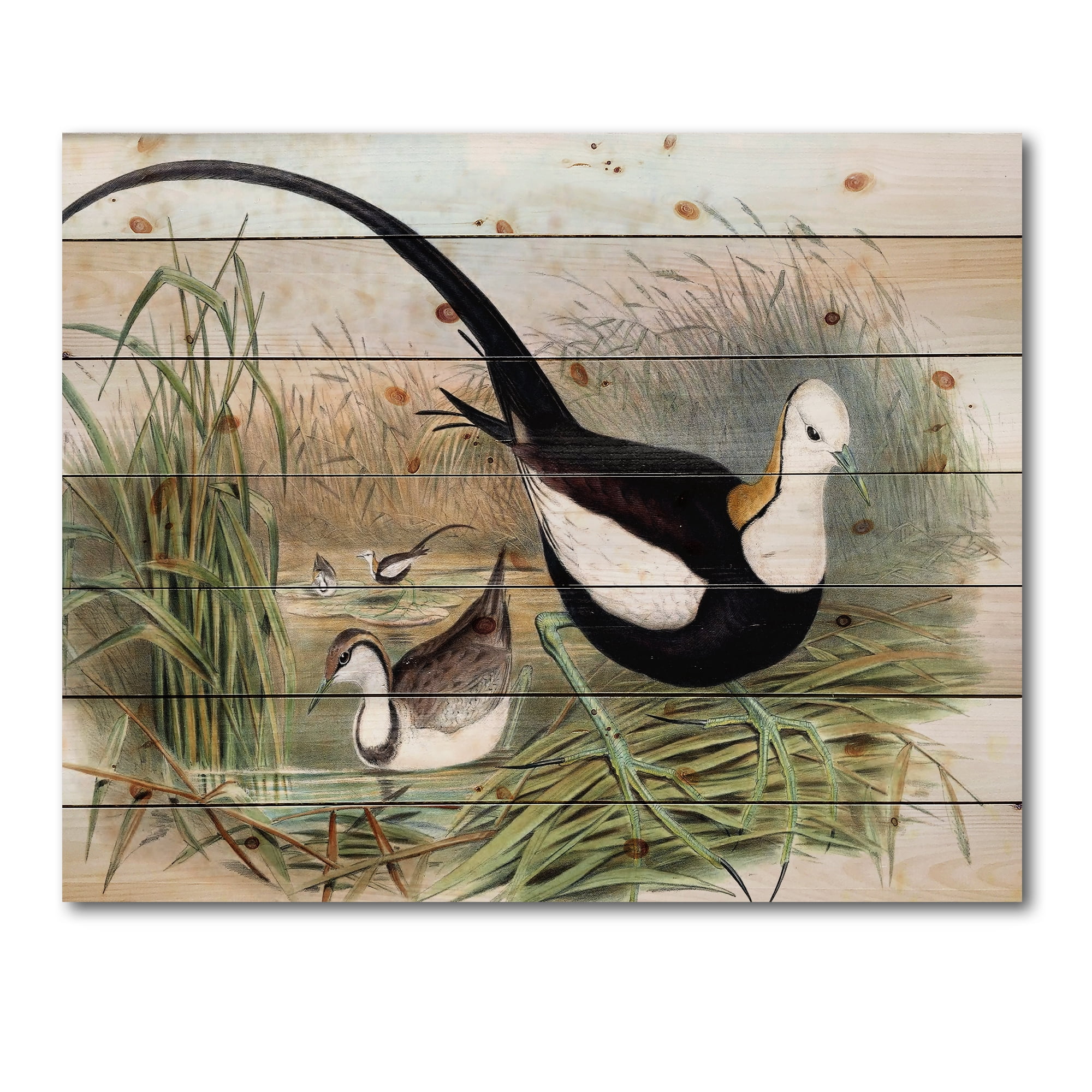 Designart 'Vintage Countryside Birds In Lake' Farmhouse Print on Natural Pine Wood