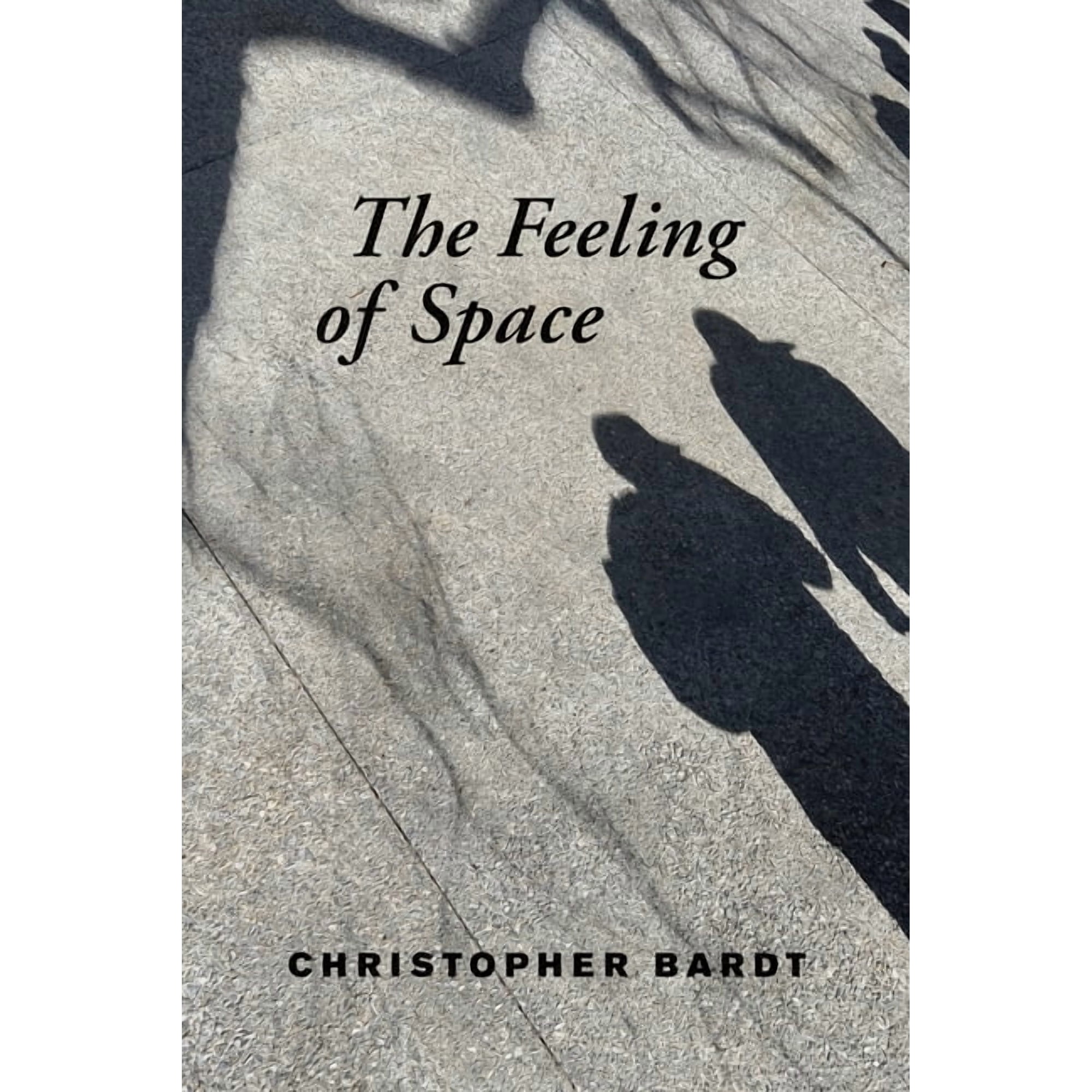 The Feeling of Space (Paperback)