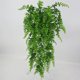 thumbnail image 5 of Cateissary Helecho Artificial montado en la pared para el hogar, oficina, planta verde, vid, fiesta de boda, decoración de plantas de plástico Plantas Artificiales, 5 of 6