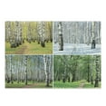 thumbnail image 1 of Landscape Cutting Board, Pathway in Woodland Birch Tree Jungle in the Fall Winter Spring Summer Season, Decorative Tempered Glass Cutting and Serving Board, Large Size, Green White, by Ambesonne, 1 of 1