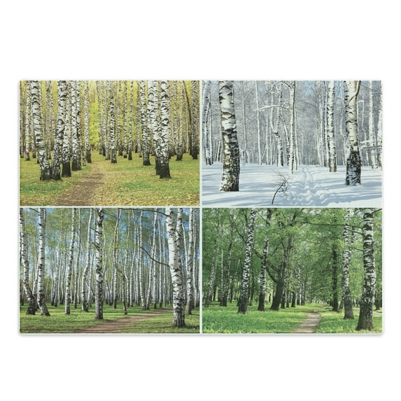 Landscape Cutting Board, Pathway in Woodland Birch Tree Jungle in the Fall Winter Spring Summer Season, Decorative Tempered Glass Cutting and Serving Board, Large Size, Green White, by Ambesonne