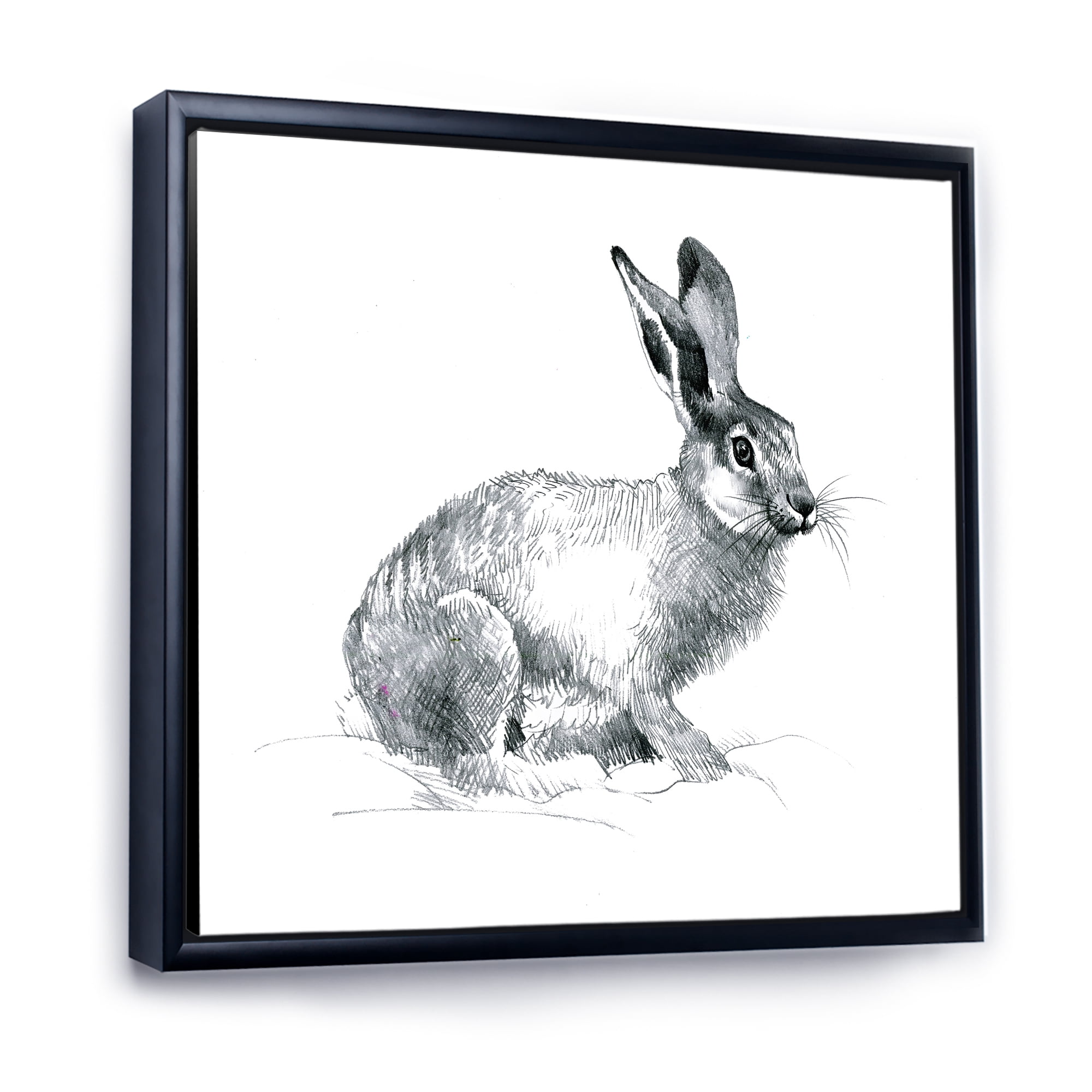 Designart 'Black and White Portrait Of Rabbit' Farmhouse Framed Canvas Wall Art Print