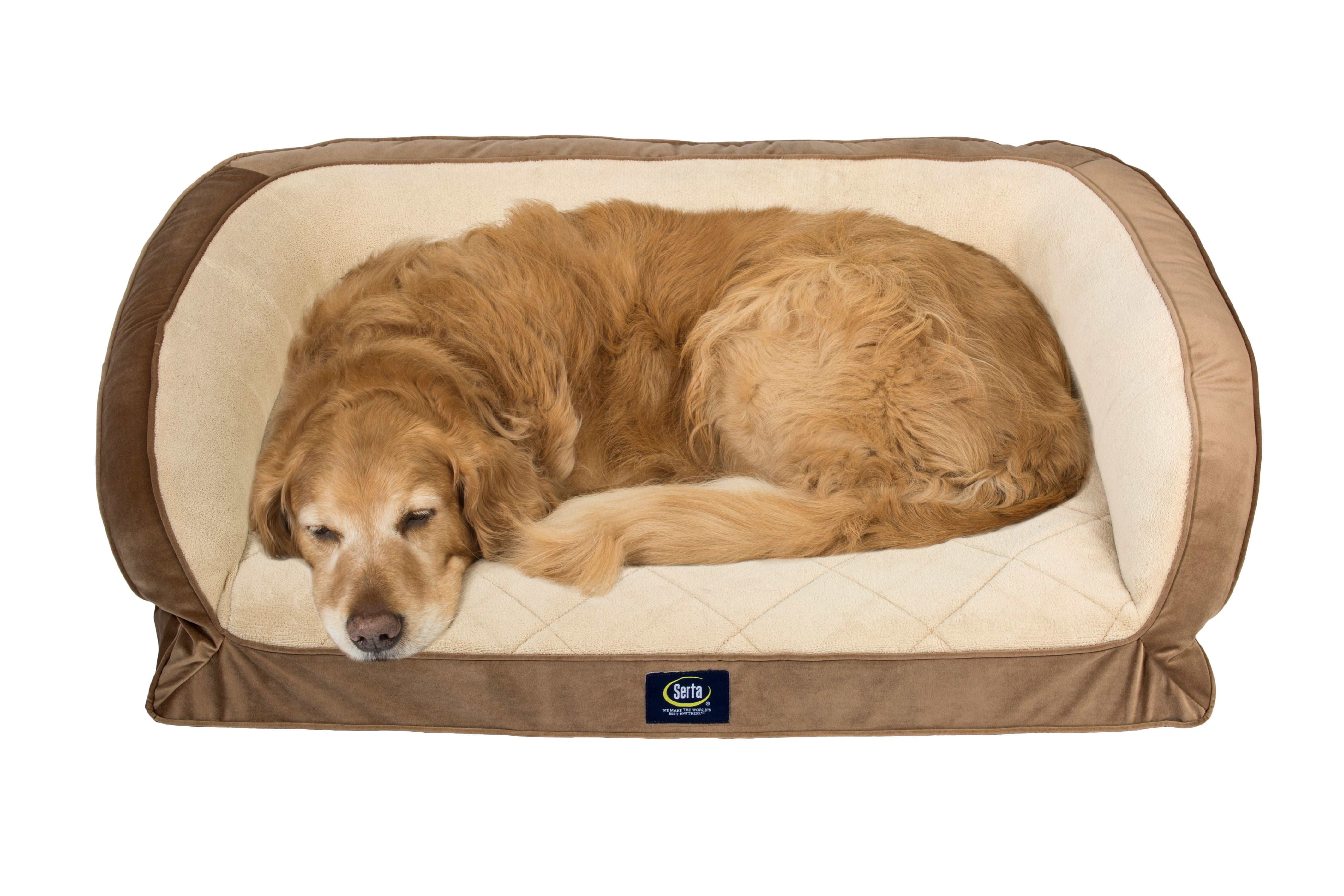 personalized pet sofa bed