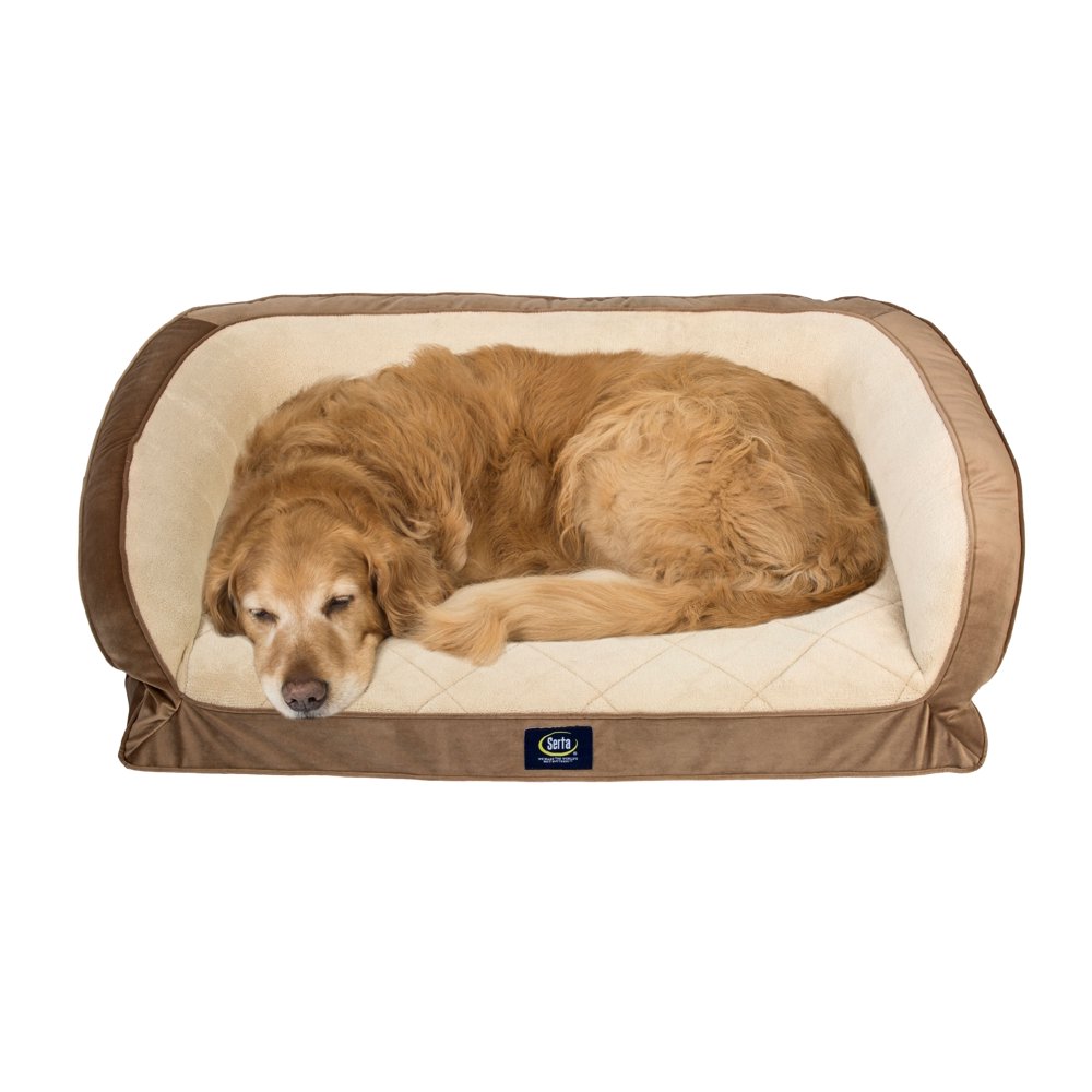 Serta Orthopedic Memory Foam Couch Pet Dog Bed, Large, Color may vary