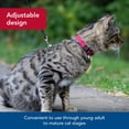 thumbnail image 4 of Collar para gatos Coastal Pet New Earth, color rosa ajustable con soja, 4 of 7