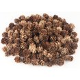 thumbnail image 1 of 30 piñas decorativas, piñas naturales a granel - Mini piñas, piñas navideñas para mesa, manualidades para árboles de Navidad, regalos, Acción de Gracias, otoño y Navidad, decoración del hogar, 1 of 5